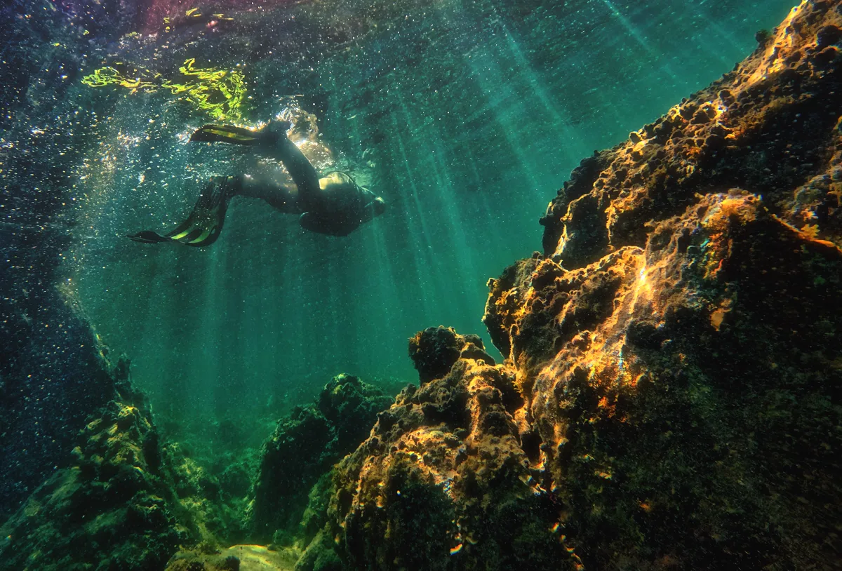 Tropical scuba diving